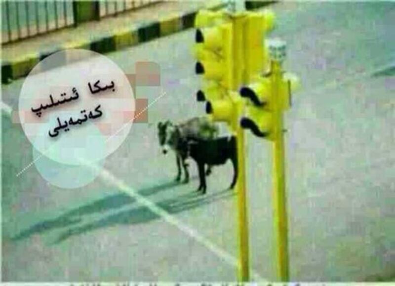 ئۈندىداردا ئابدۇلباسىتنىڭ ناھەق ئۆلۈمى ھەققىدە يوللانغان كىنايىلىك رەسىم (2014-يىل ئاپرېل)
