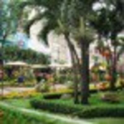 Saigon_Xuan_MauTy_75.jpg