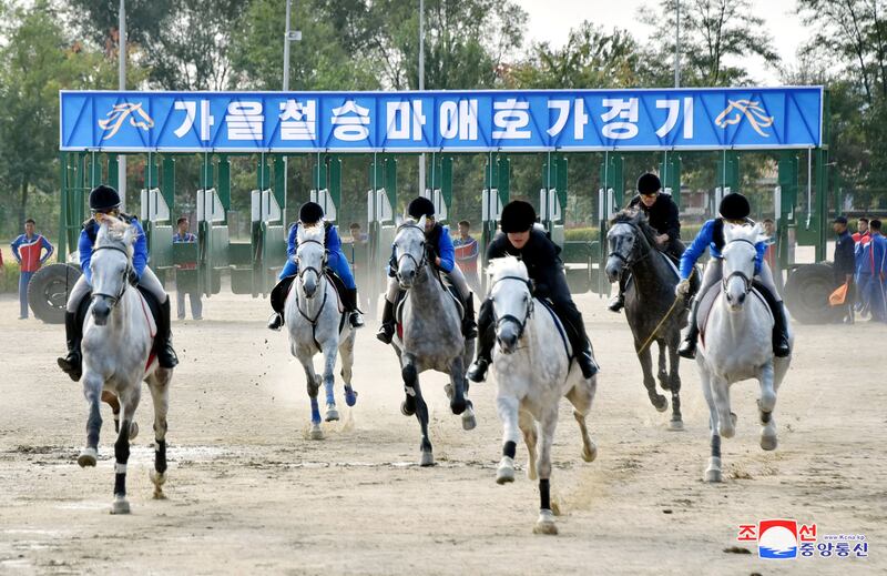 3-사진.JPG