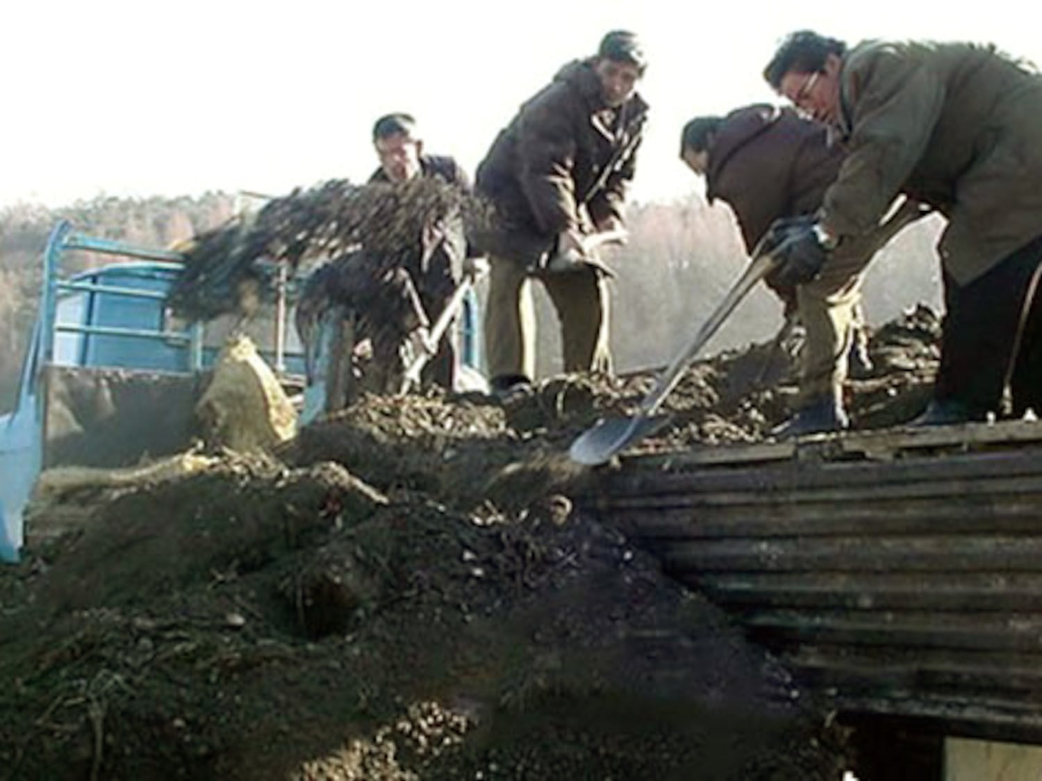 North Koreans fight over feces as annual ‘compost battle’ begins