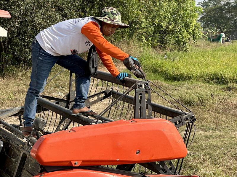 ရန်ကုန်တိုင်း သန်လျင်မြို့နယ်တွင် နွေစပါးစိုက်ခင်းများနှင့် ရိတ်သိမ်းနေသူများအား ၂၀၂၄ ခုနှစ်၊ ဖေဖော်ဝါရီလ ၂၂ ရက်နေ့က တွေ့ရစဉ်။ (Photo: RFA)