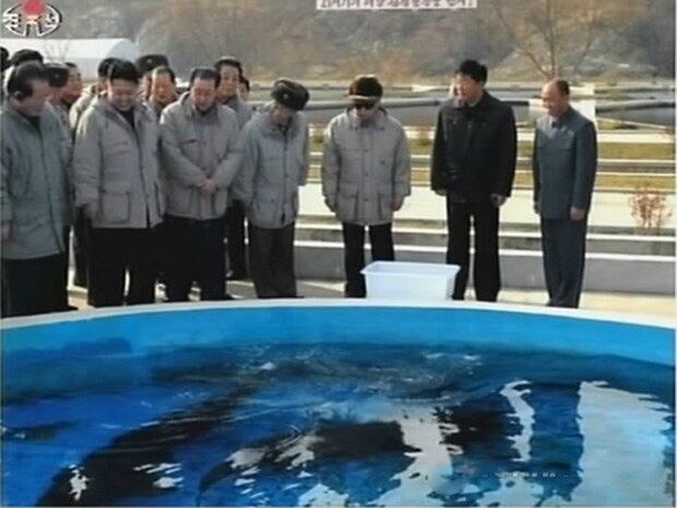 지난 2010년 북한 김정일 국방위원장이 후계자인 김정은(사진 왼쪽에서 두번째)과 함께 황해남도 룡연군의 룡연바닷가양어사업소를 현지지도하고 있다. 