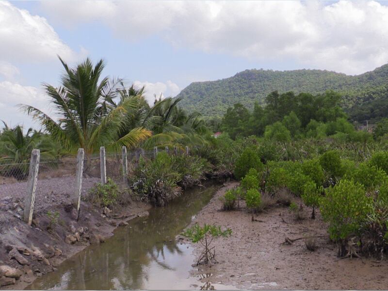 ទីតាំង​ដី​ព្រៃ​ជុំវិញ​បរិវេណ​បឹង​កង្កែប ស្ថិត​ក្នុង​ភូមិ​អុង ឃុំ​រាម ស្រុក​ព្រៃនប់ ខេត្ត​ព្រះសីហនុ ដែល​រង​ការ​បំផ្លាញ​ពី​បុគ្គល​មួយ​ចំនួន នៅ​ថ្ងៃ​ទី​១ ខែ​មីនា ឆ្នាំ​២០១៦។ RFA/Den Ayuthyea