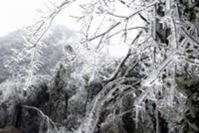 ColdWeatherSapa200.jpg