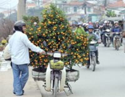 LunarNewYearFlower200b.jpg