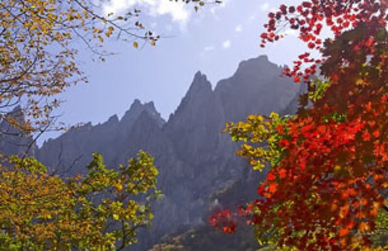 mt_kum_kang_305