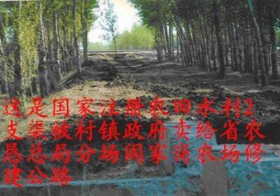 图片:土地被卖修建公路(志愿者)