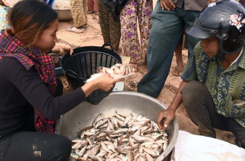 ពលរដ្ឋ​​​ទិញ-​លក់​​ត្រី​សម្រាប់​ធ្វើ​ប្រហុក​នៅ​កំពង់ផែ​កំពង់ប្រាសាទ ក្នុង​ស្រុក​កំពង់ត្រឡាច ខេត្ត​កំពង់ឆ្នាំង កាល​ពី​ថ្ងៃ​ទី​២១ ខែ​ធ្នូ ឆ្នាំ​២០១៥។