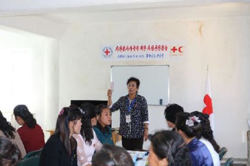 국제적십자사연맹은 이번 비상조치계획 일환으로 함경남도와 평안남도에서 60명의 자원봉사자와 30명의 보건 종사자에게 폭염 교육을 시켰고, 또한 폭염예방 자료 800부를 인쇄해 지역 보건기관에 배포했다. 