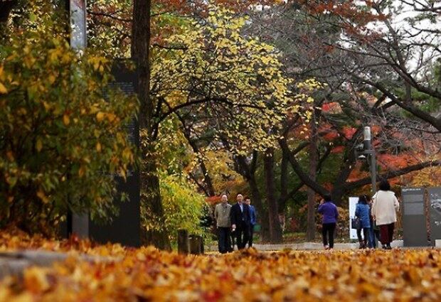 청명한 가을 날씨를 보인 20일 오후 시민들이 가을색으로 물든 덕수궁을 거닐고 있다.