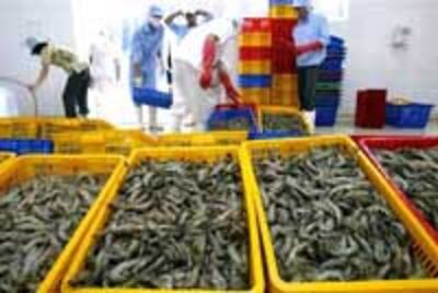 SeafoodShrimp200.jpg