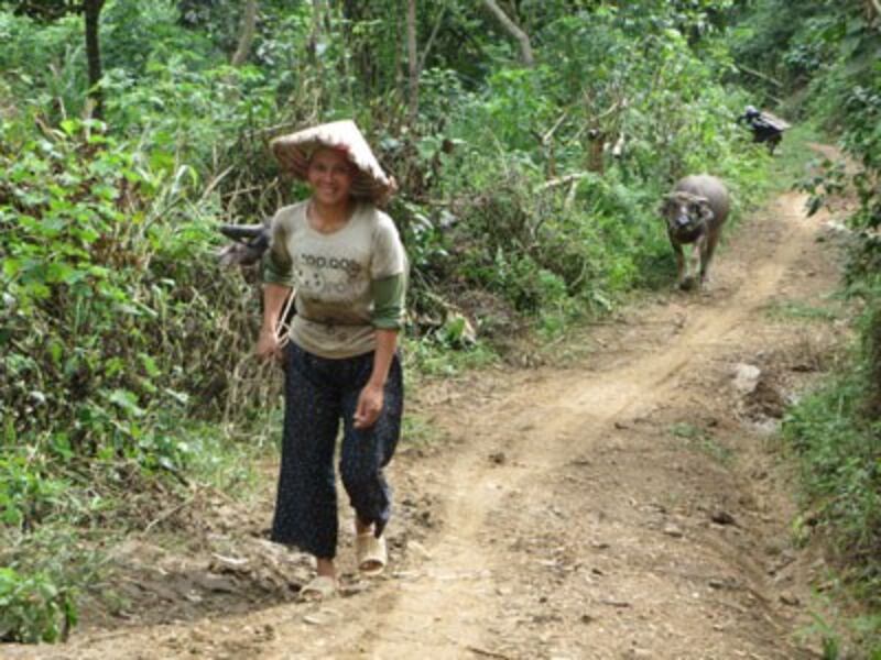 Người giàu có nhất bản với tài sản hai con trâu. RFA PHOTO.