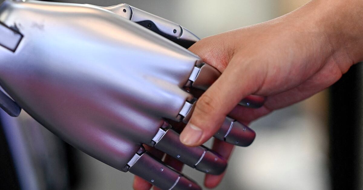 Tesla Rfa Chinese government approves official purchases of Tesla's Model Y ...