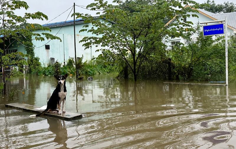 ရန်ကုန်တိုင်း၊ လှည်းကူးမြို့ အနိမ့်ပိုင်းရပ်ကွက်များ ရေကြီးရေလျှံနေသည်ကို ၂၀၂၃ အောက်တိုဘာ ၈ ရက်နေ့က တွေ့ရစဉ်။ (Photo : RFA)