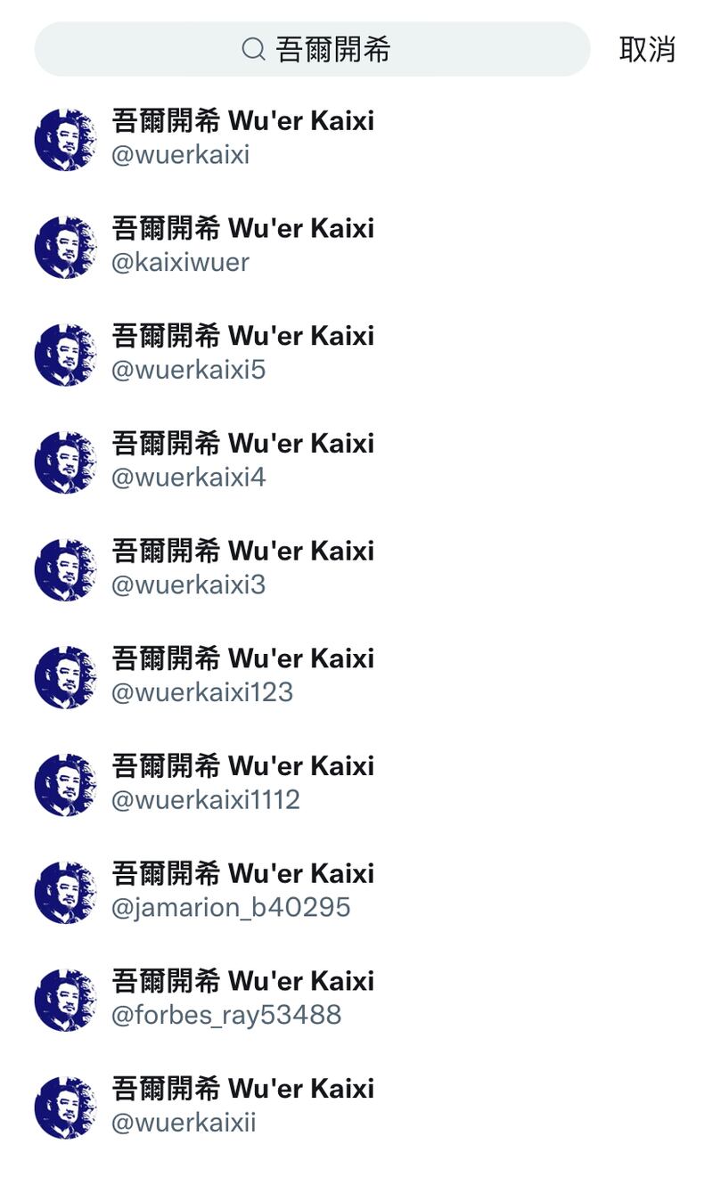 推特蒐尋「吾爾開希」,出現一串名稱、頭像一樣的帳號。(圖取自推特)
