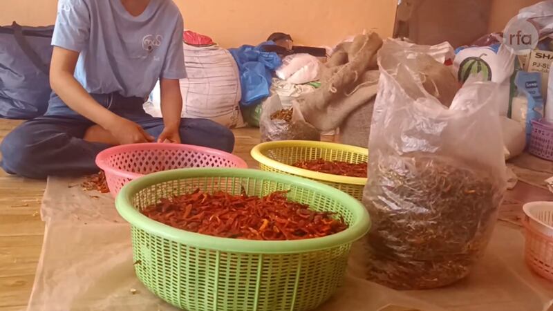 ငရုတ်သီးတောင့် အညှာခြွေသည့် လုပ်ငန်းခွင်တစ်ခုတွင် လုပ်ကိုင်နေသူတစ်ဦးအား ၂ဝ၂၃ ခုနှစ် ဒီဇင်ဘာလ ၁၇ ရက်နေ့က တွေ့ရစဉ်။ (Photo: RFA)