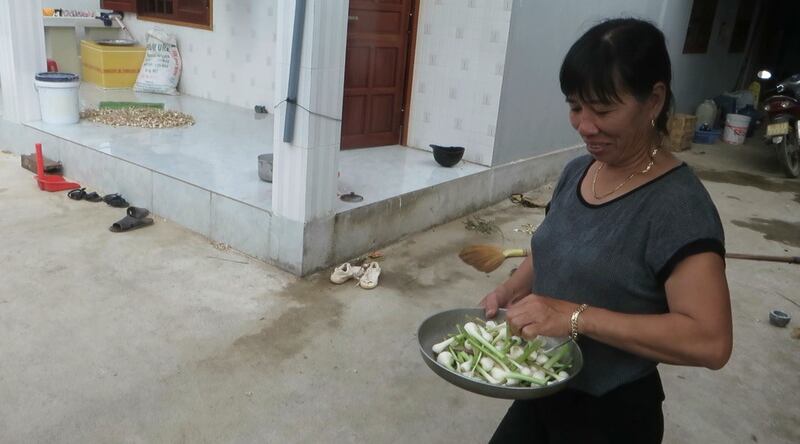 Củ tỏi gắn liền với đời sống cư dân Lý Sơn.