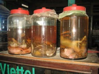 Những bình rượu ngâm thịt chó tại một quán thịt chó, ảnh chụp trước đây. RFA PHOTO.