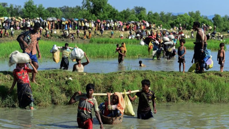 rohingya