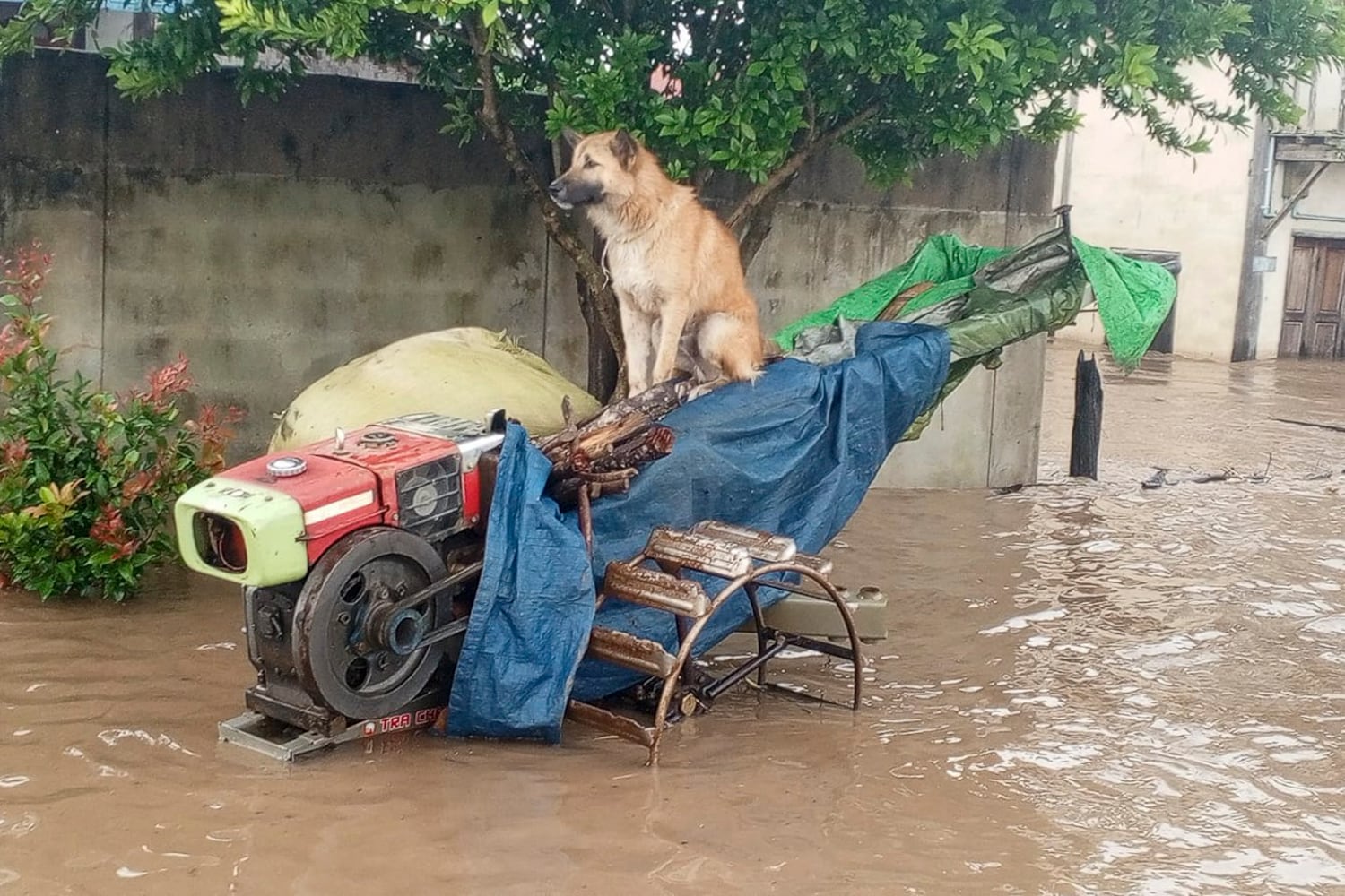 My Kai City, Myanmar, is flooded with heavy rains, September 10, 2024 (Sangha Wawadeong Funeral Association)