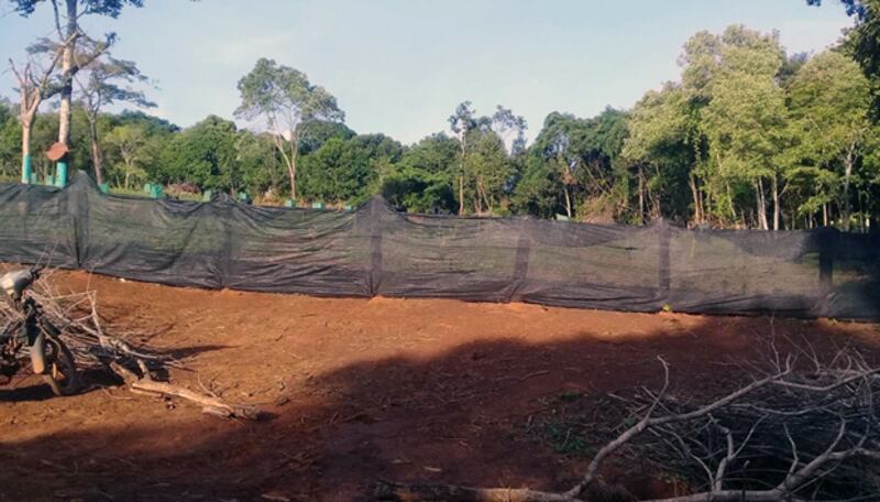 ដី​ព្រៃ​កប់​សព ដែល​ជនជាតិ​ដើម​ភាគតិច​ចោទ​ថា មាន​ឈ្មួញ​ឈូស​ឆាយ​បំពាន​យក នៅ​ក្នុង​ភូមិ​ពួឡេះ ឃុំ​ដាក់ដាំ ស្រុក​អូររាំង ខេត្ត​មណ្ឌលគិរី។