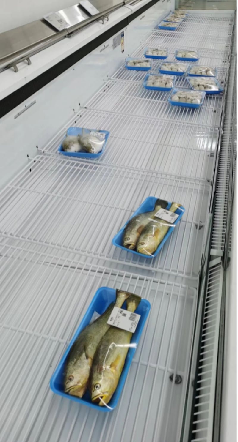 冷凍箱內的冷藏魚，所剩無幾。（志願者提供）