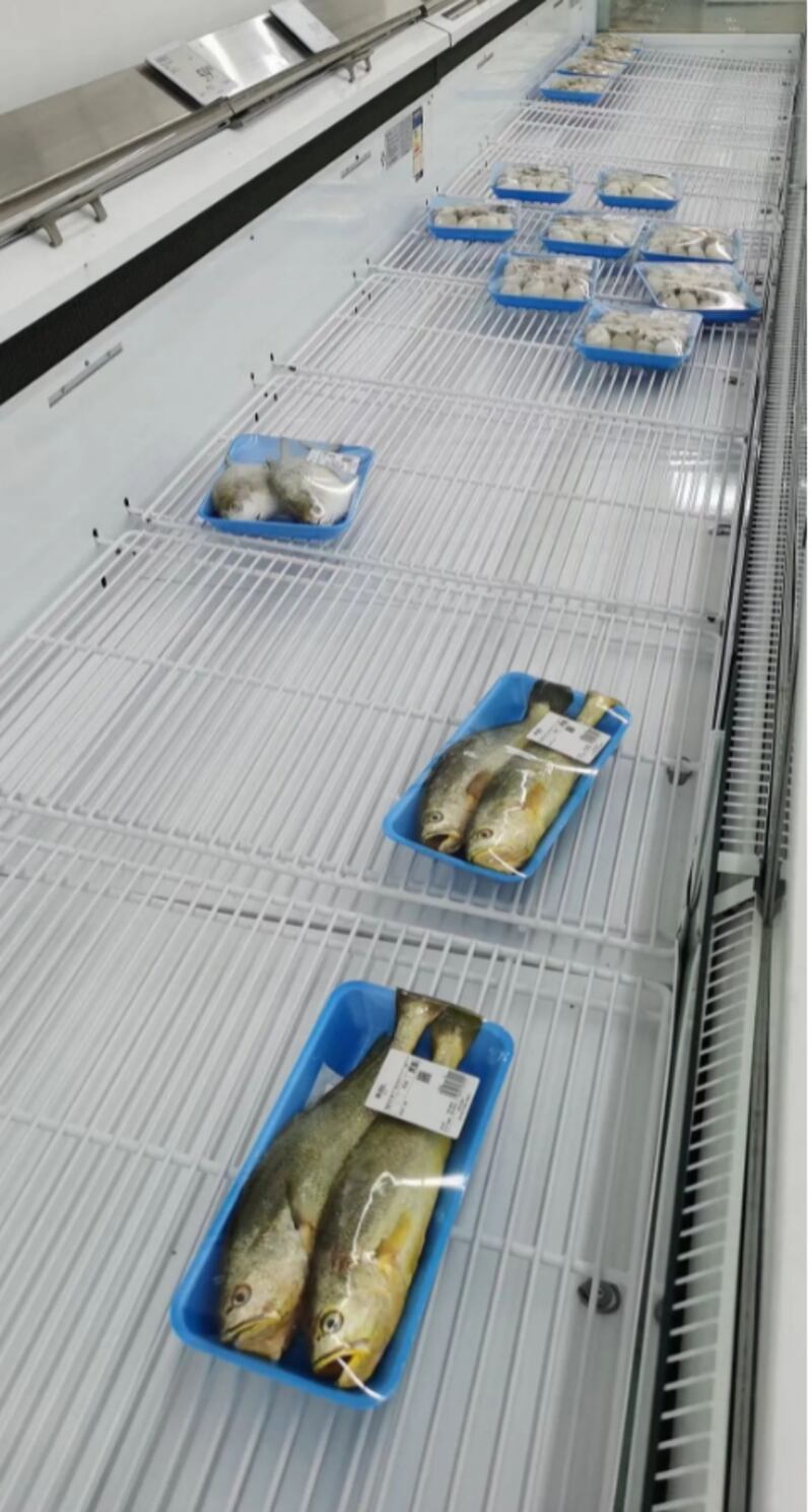 冷凍箱內的冷藏魚,所剩無幾。(志願者提供)