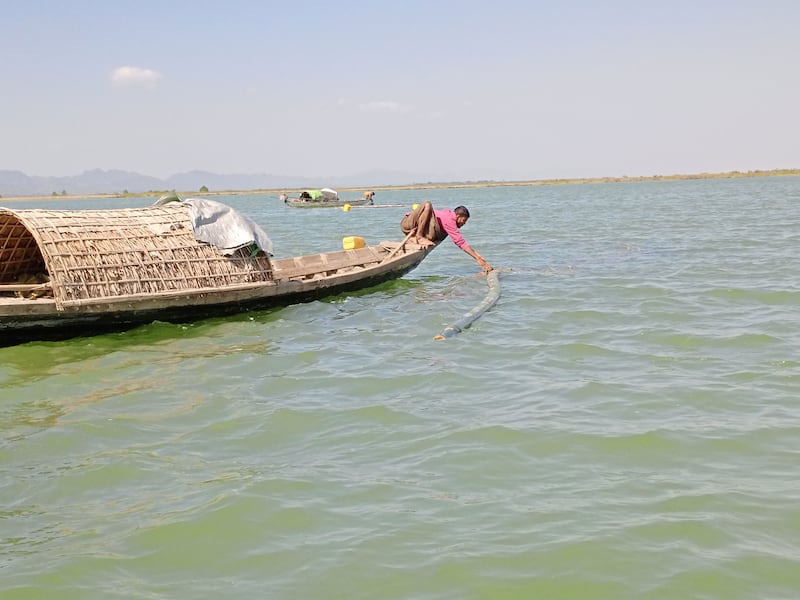 ဘူးသီးတောင်မြို့နယ် မေယုမြစ်တွင် ငါးဖမ်းနေကြသည့် ရိုဟင်ဂျာ ငါးဖမ်းလှေများကို ၂၀၂၅ ခုနှစ် ဇန်နဝါရီ ၂၇ ရက်နေ့က တွေ့ရစဉ်။ (Photo: RFA)