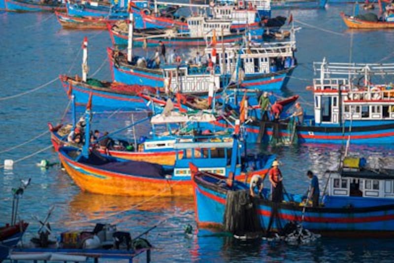 Tàu cá của ngư dân vùng biển Đại Lãnh. 
