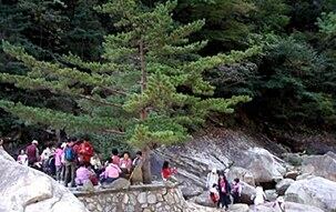 남한의 관광객들이 북한 금강산 계곡에서 휴식을 취하고 있다