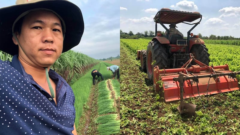 Farmer_Tay Song.jpg