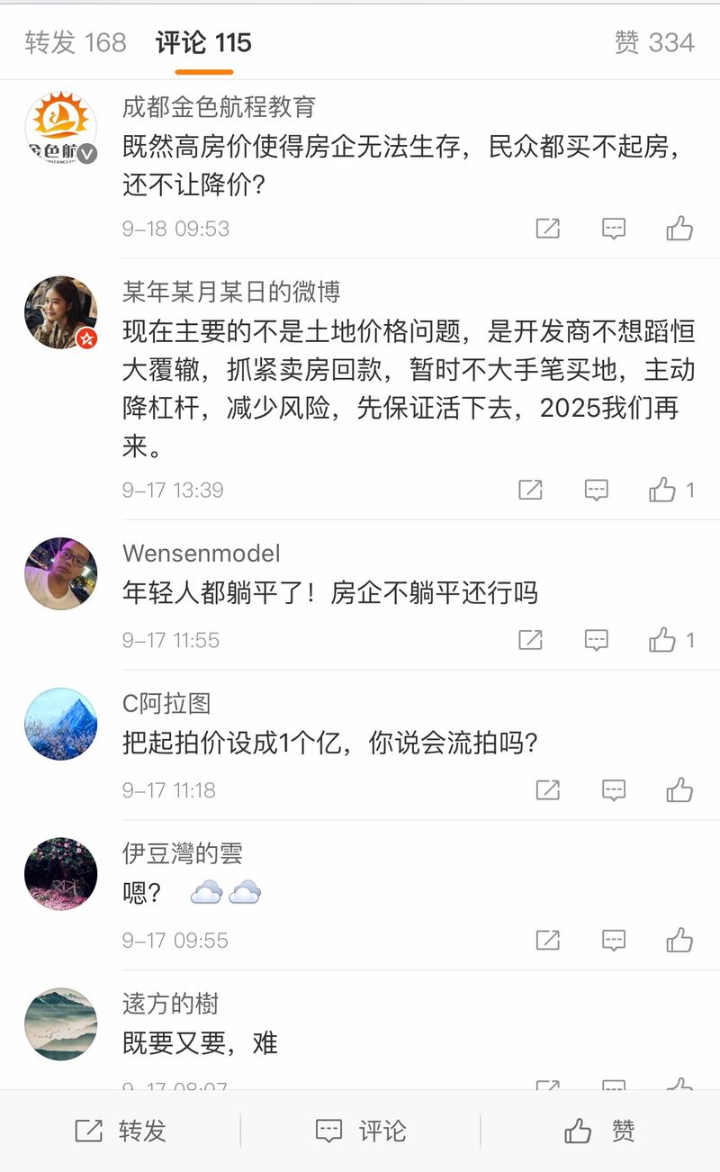 網民分析中國目前房地產市場。(網絡截圖)