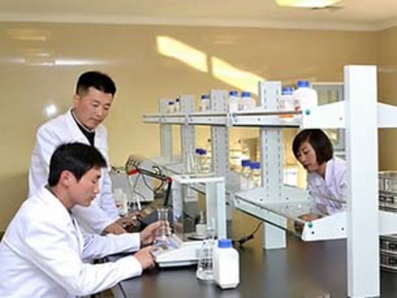 북한 평양 대동강 기슭에 새로 건설된 국가과학원 중앙버섯연구소에서 연구원들이 일을 하고 있다.