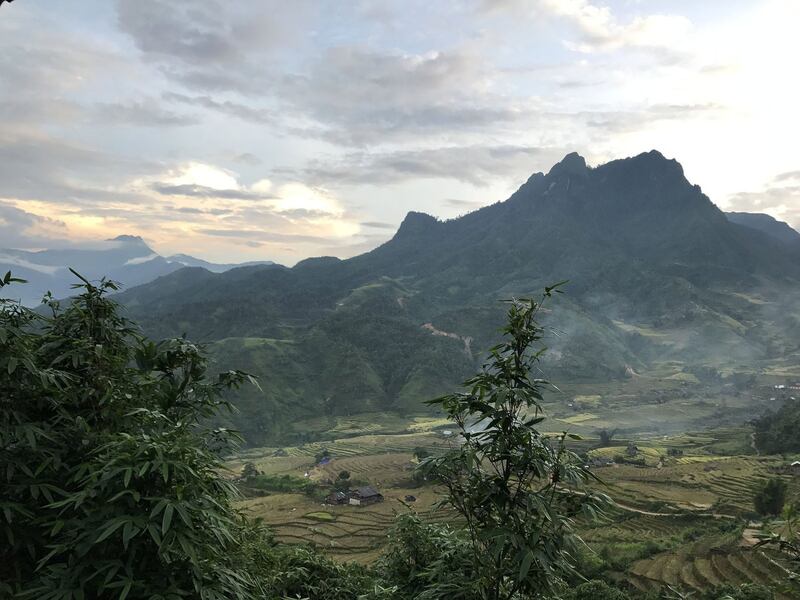Jodi-Rowley-Australian-Museum-Hoang-Lien-mountain-range-Lao-Cai-Province.jpg
