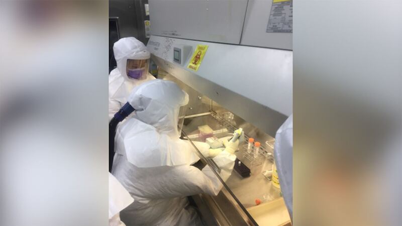 台湾的国家卫生研究院P3实验室增加研究人员，合成新药、研发疫苗，应对疫情。(台湾国家卫生研究院提供)