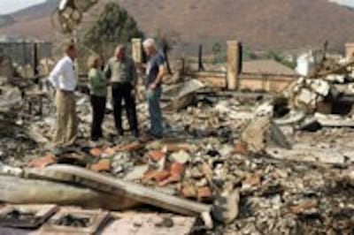 CaliforniaFireBush200.jpg