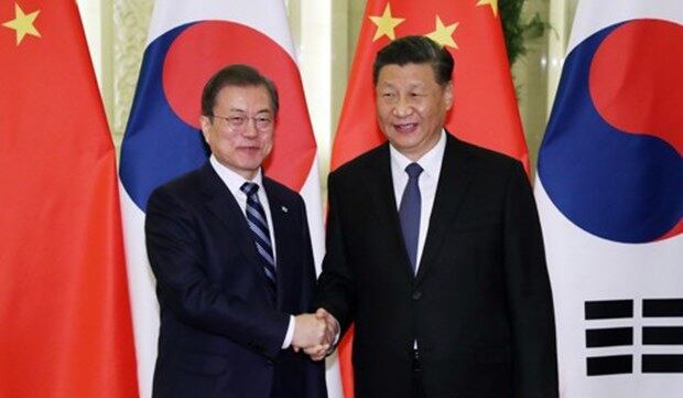 문재인 대통령과 시진핑 중국 국가주석이 23일 베이징 인민대회당에서 정상회담 전 악수하고 있다.
