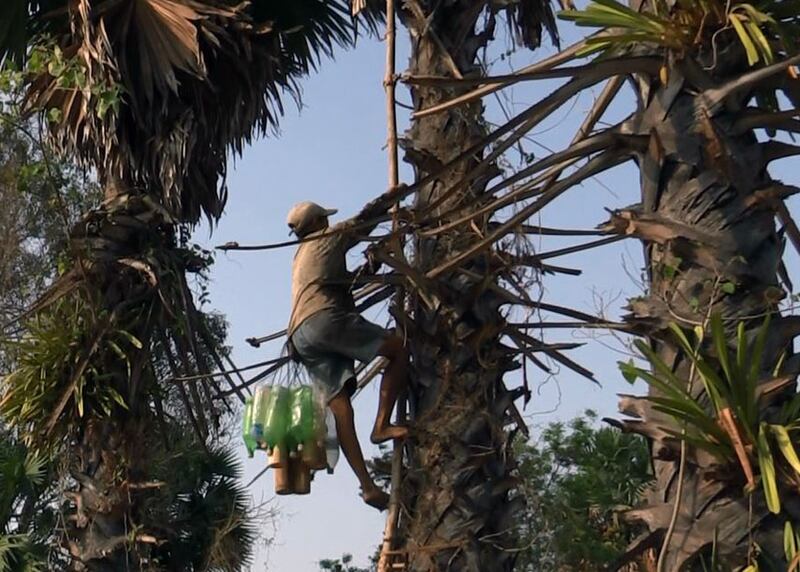 លោកស្រី ញឹក ចំរើន ឡើង​ត្រង​ទឹក​ត្នោត​នៅ​ក្នុង​ភូមិ​ព្រះរាមរង្សី នៃ​ឃុំ​ជ្រៃបាក់ ស្រុក​រលាប្អៀរ ខេត្ត​កំពង់ឆ្នាំង កាល​ពី​ថ្ងៃ​ទី​១៦ ខែ​មីនា ឆ្នាំ​២០១៦។