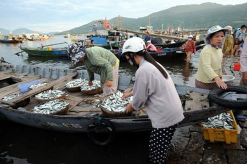 Cảnh mua bán hải sản tại một cảng cá ở Đà Nẵng trước khi có thảm họa Formosa. 