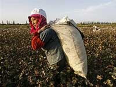 Xinjiang_Cotton200.jpg