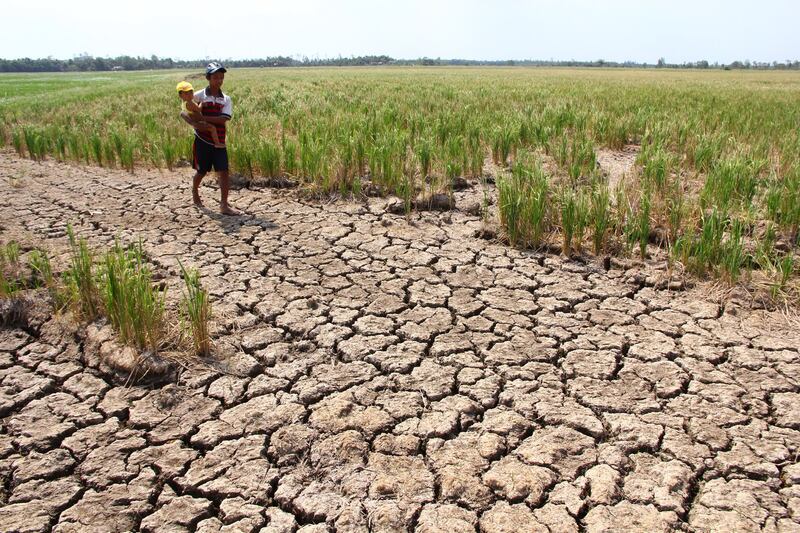 AFP-drought-20160302-Long-Phu-district-Sóc-Trăng-province.jpg