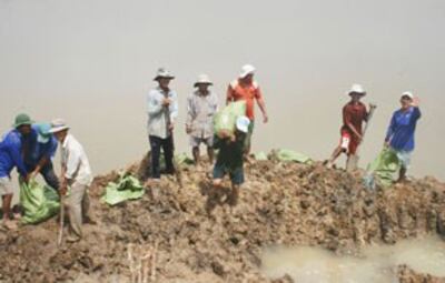 Người dân tích cực tham gia bao vệ đê, bảo vệ diện tích lúa của chính mình ( ảnh chụp tại xã Tân Hộ Cơ, huyện Tân Hồng). Source tinmoi.vn