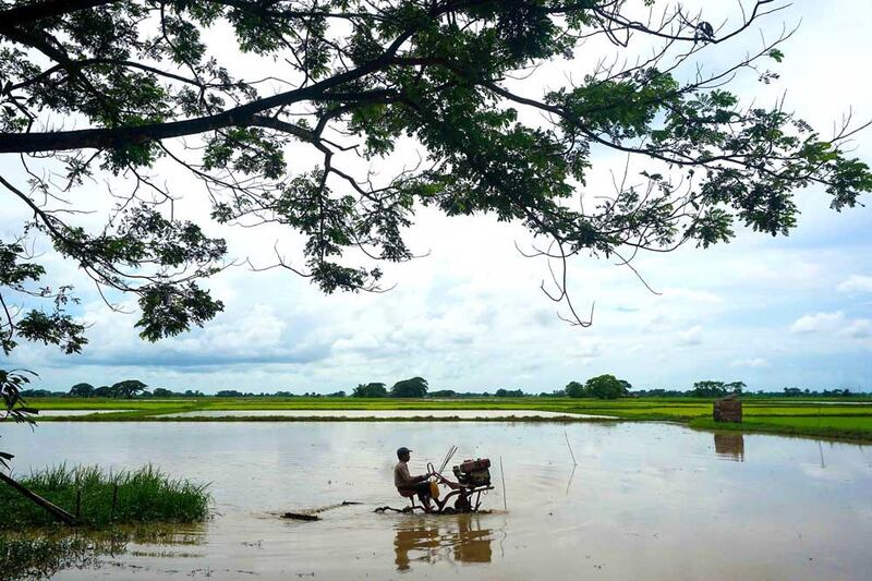 While traditional methods are still used for growing rice, tractors have made an impact. Myo Min Soe/RFA