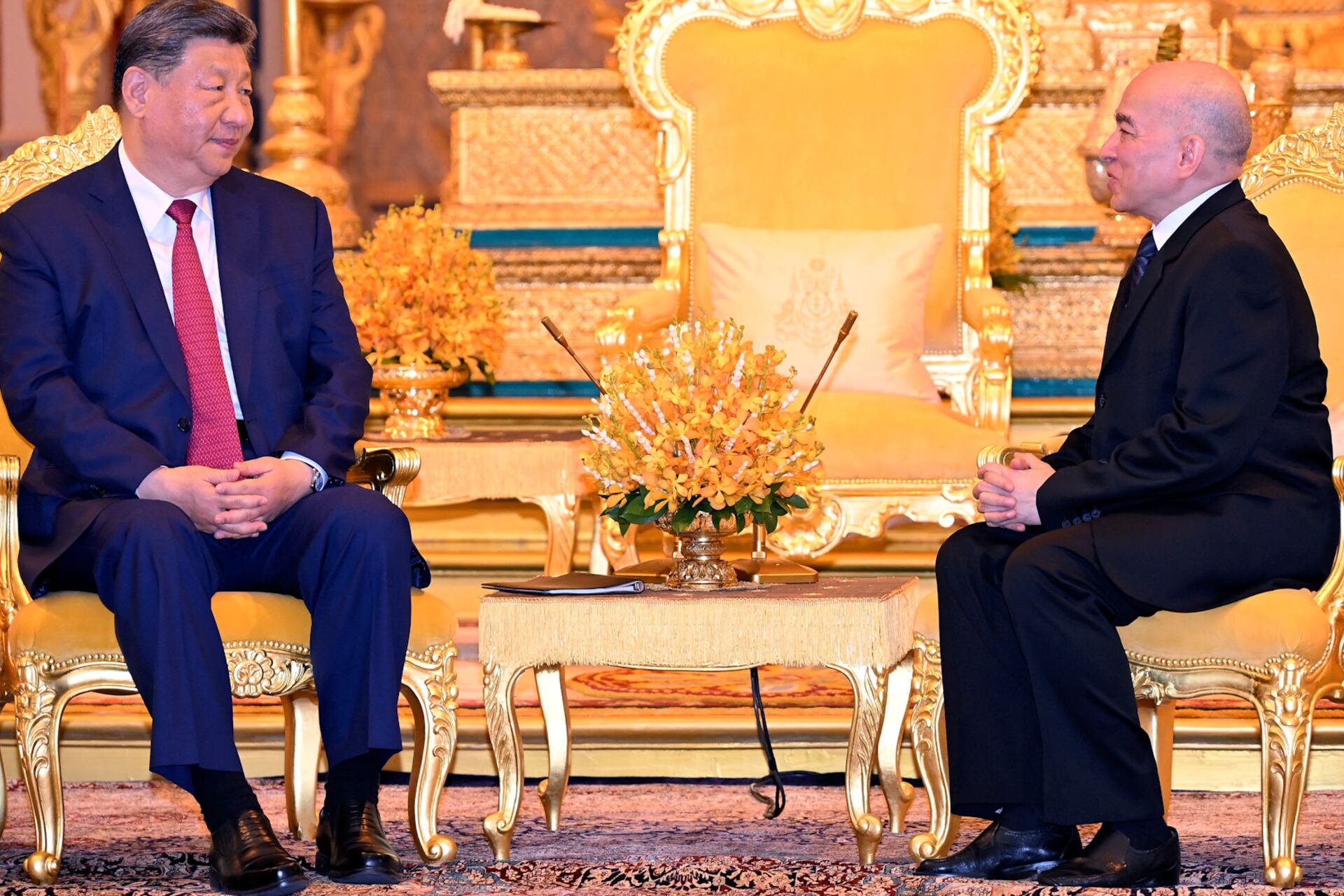 Cambodian King speaking to President XI