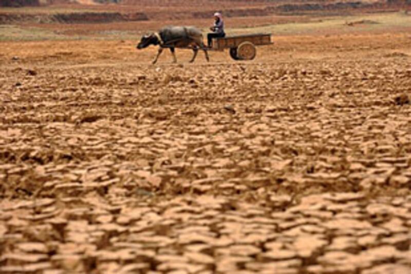 Yunnan_drought_2_305