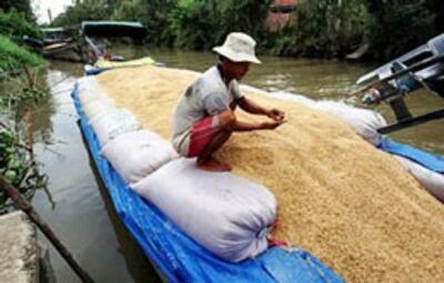Lúa gạo được di chuyển trên sông Tiền Giang. AFP