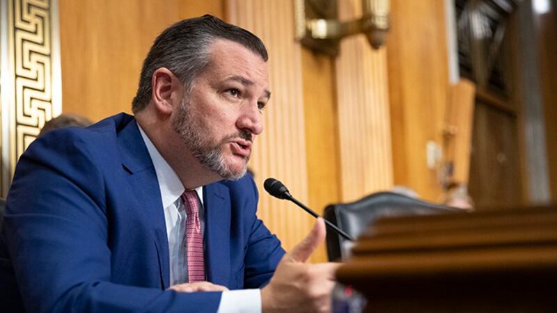 美国联邦参议员克鲁兹（Ted Cruz）（美联社）