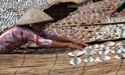 Người dân Mekong phơi cá khô. RFA photo