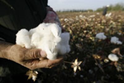 Cotton-XJ1-200.jpg