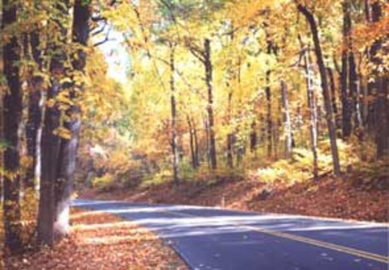 autumn_ngang2_300.jpg